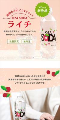 炭酸水 500ml 48本 (24本×2ケース)のLPデザイン（水・ソフトドリンク／カラフル系／爽やか系）スマホ版