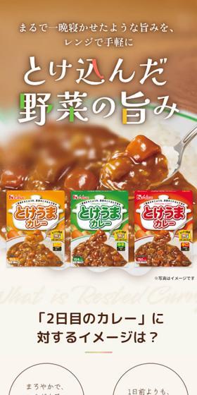 とけうまカレーのLPデザイン（レトルト・インスタント／ブラウン系／かわいい系）スマホ版