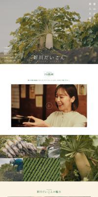 Niikawa daikon LP design (fruit-vegetable / Beige tones / Simple) PC version