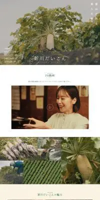 新川だいこんのLPデザイン（フルーツ・果物・野菜／ベージュ系／シンプル系）PC版