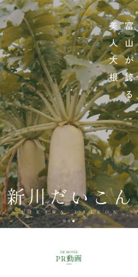 新川だいこんのLPデザイン（フルーツ・果物・野菜／ベージュ系／シンプル系）スマホ版