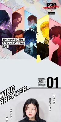 PERSONA 30TH