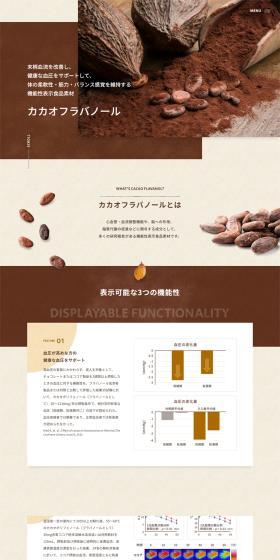 Cacao Flavanol LP design (chocolate / Brown tones / Simple) PC version