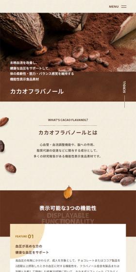 カカオフラバノールのLPデザイン（チョコレート／ブラウン系／シンプル系）スマホ版