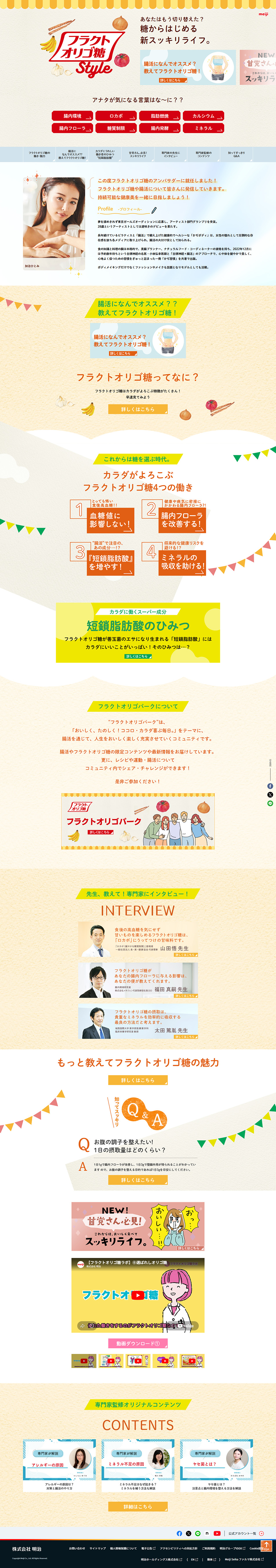 フラクトオリゴ糖StyleのLPデザイン（調味料・甘味料・ダシ・スープ／オレンジ系／にぎやか系）PC版