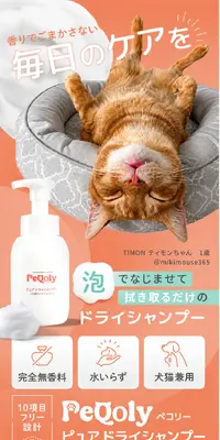 PeQoly ピュア ドライシャンプーのLPデザイン（ペットフード ・ ペット用品／オレンジ系／かわいい系）スマホ版
