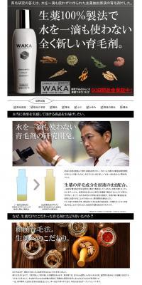 WAKA LP design (Beauty, Skincare, Fragrance / Black-colored / Trust and Safety) PC version