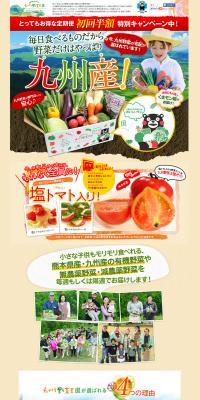 九州野菜王国野菜セットのLPデザイン（食品／ベージュ系／にぎやか系）PC版