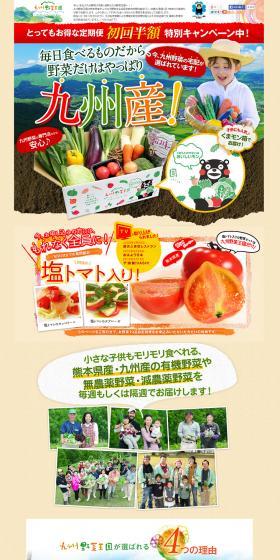 九州野菜王国野菜セットのLPデザイン（食品／ベージュ系／にぎやか系）PC版