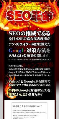 SEO Revolution LP design (Internet service / Red tones / Strong) PC version
