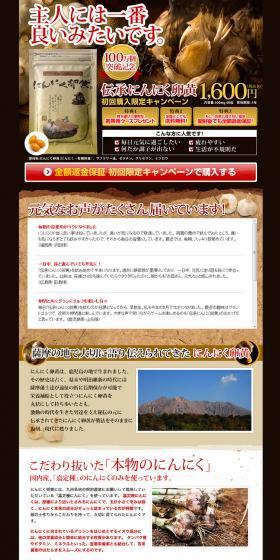 Traditional Garlic Egg Yolk LP design (Health and Beauty Foods and Supplements / Brown tones / Cool style) PC version