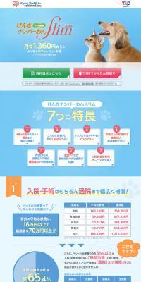 Pet insurance LP design (Pets, Flowers, DIY Tools / Shades of blue / Cute style) PC version