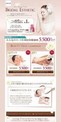 Bridal aesthetics LP design (Beauty services / Pink shades / Refined style) PC version