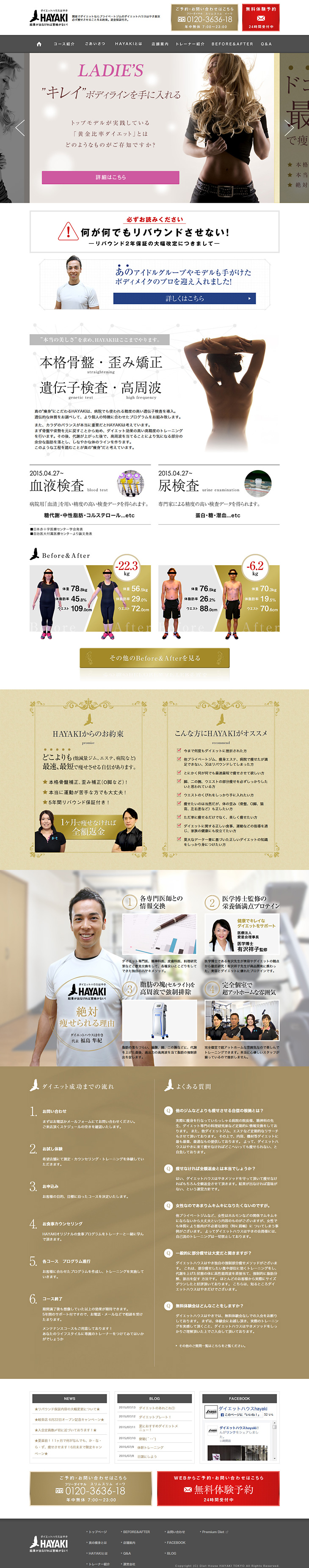 Diet House Hayaki LP design (Beauty, Skincare, Fragrance / Gold tones / Simple) PC version