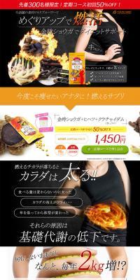 Kintoki Ginger + Long Pepper + Black Galingale LP design (Health and Beauty Foods and Supplements / Multi-color type / Strong) PC version