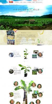 Banana LP design (food / Green tones / Trust and Safety) PC version
