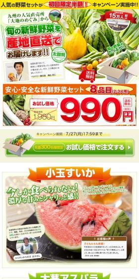 Safe and Secure Fresh Vegetable Set LP design (Internet service / Multi-color type / Lively type) PC version