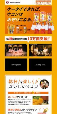 Turmeric Jelly LP design (Health and Beauty Foods and Supplements / Orange tones / Flashy style) PC version