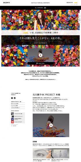 4K Bravia Special Contents LP design (TV, Audio, Musical Instruments / White-based / Simple) PC version