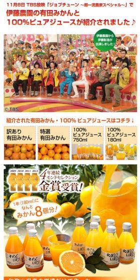 Limited Introductory Trial 10-Piece Set LP design (fruit-vegetable / Orange tones / Cute style) PC version