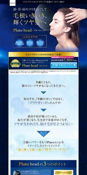 プルートの頭 LP design (Beauty services / Shades of blue / Refined style) PC version