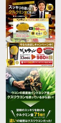 Healthy Turmeric LP design (Health and Beauty Foods and Supplements / Multi-color type / Lively type) PC version