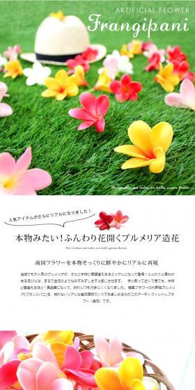 Artificial Plumeria Frangipani Flower LP design (fashion / White-based / Simple) PC version