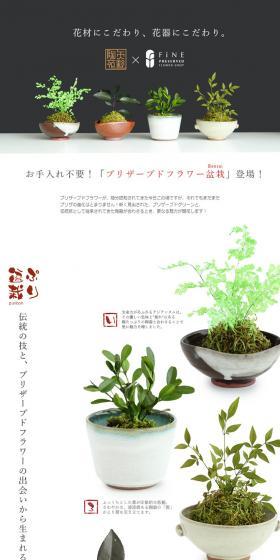 Pretty Bonsai LP design (Interior, furniture, and bedding / White-based / Simple) PC version