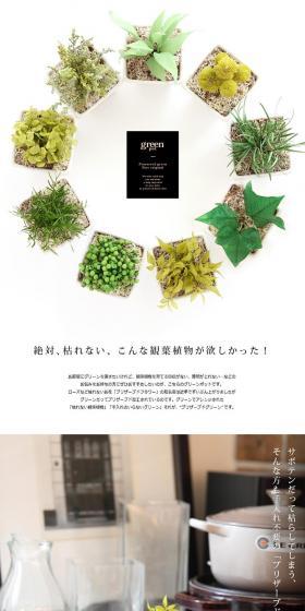 Set of 3 Green Pots LP design (Interior, furniture, and bedding / White-based / Simple) PC version