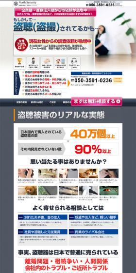 Assistance in detecting listening devices and hidden cameras. LP design (Services, Insurance, and Finance / Shades of grey / Trust and Safety) PC version