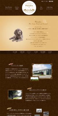 Pleiades LP design (Pets, Flowers, DIY Tools / Gold tones / Cute style) PC version