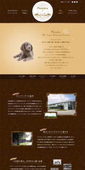 Pleiades LP design (Pets, Flowers, DIY Tools / Gold tones / Cute style) PC version