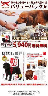Super Value Pack!! Jr. LP design (Pets, Flowers, DIY Tools / White-based / Cute style) PC version