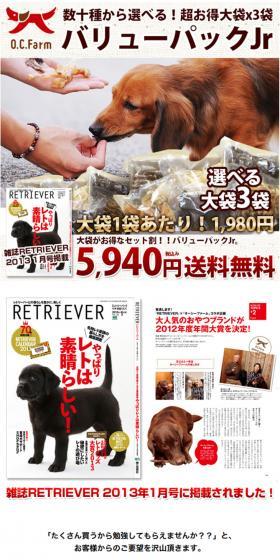 Super Value Pack!! Jr. LP design (Pets, Flowers, DIY Tools / White-based / Cute style) PC version