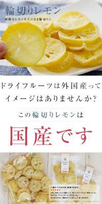 Dried Lemon LP design (food / White-based / Simple) PC version