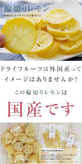 Dried Lemon LP design (food / White-based / Simple) PC version