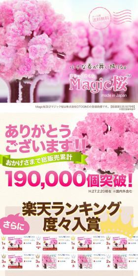 Magic Cherry Blossom LP design (Interior, furniture, and bedding / Beige tones / Cute style) PC version