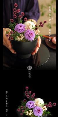 Japanese-style Preserved Flower Shion LP design (Interior, furniture, and bedding / Black-colored / Cool style) PC version