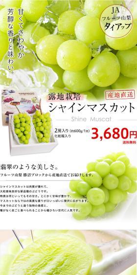 Shine Muscat LP design (food / White-based / Simple) PC version