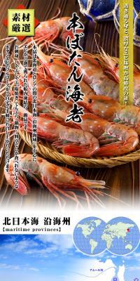 Extra-large & Roe-filled Botan Shrimp 1kg LP design (food / White-based / Lively type) PC version