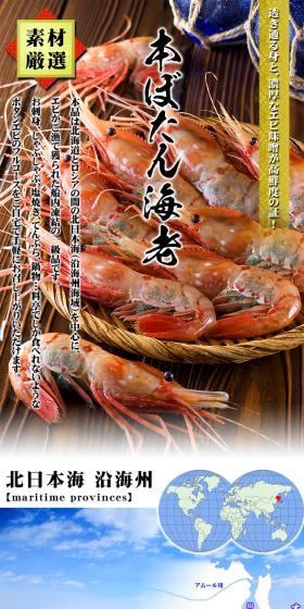 Extra-large & Roe-filled Botan Shrimp 1kg LP design (food / White-based / Lively type) PC version