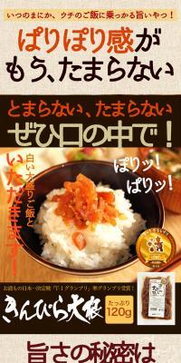 Kinpira Daikon LP design (food / Brown tones / Lively type) PC version