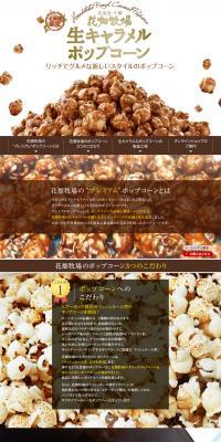 Soft Caramel Popcorn LP design (Sweets and Snacks / Brown tones) PC version