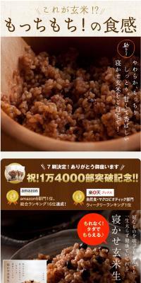 Fermented Brown Rice Starter Kit LP design (food / Brown tones / Trust and Safety) PC version