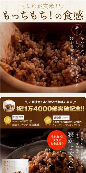 Fermented Brown Rice Starter Kit LP design (food / Brown tones / Trust and Safety) PC version