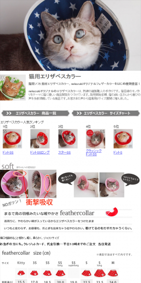 Cat Elizabethan collar LP design (Pets, Flowers, DIY Tools / White-based / Simple) PC version