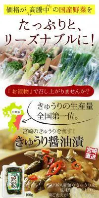 きゅうり醤油漬け 5袋セットのLPデザイン（食品／ブラウン系／にぎやか系）PC版