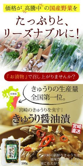 Soy Sauce Pickled Cucumbers, 5-Bag Set LP design (food / Brown tones / Lively type) PC version