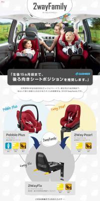 Two-way Family LP design (Kids, Baby, Toys / Shades of grey / Simple) PC version