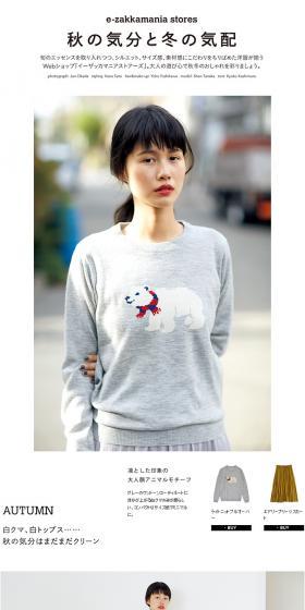 Autumnal mood and a hint of winter LP design (fashion / White-based / Simple) PC version